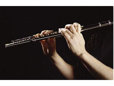 招聘攀枝花长笛家教老师