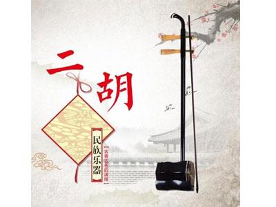 招聘攀枝花二胡家教老师